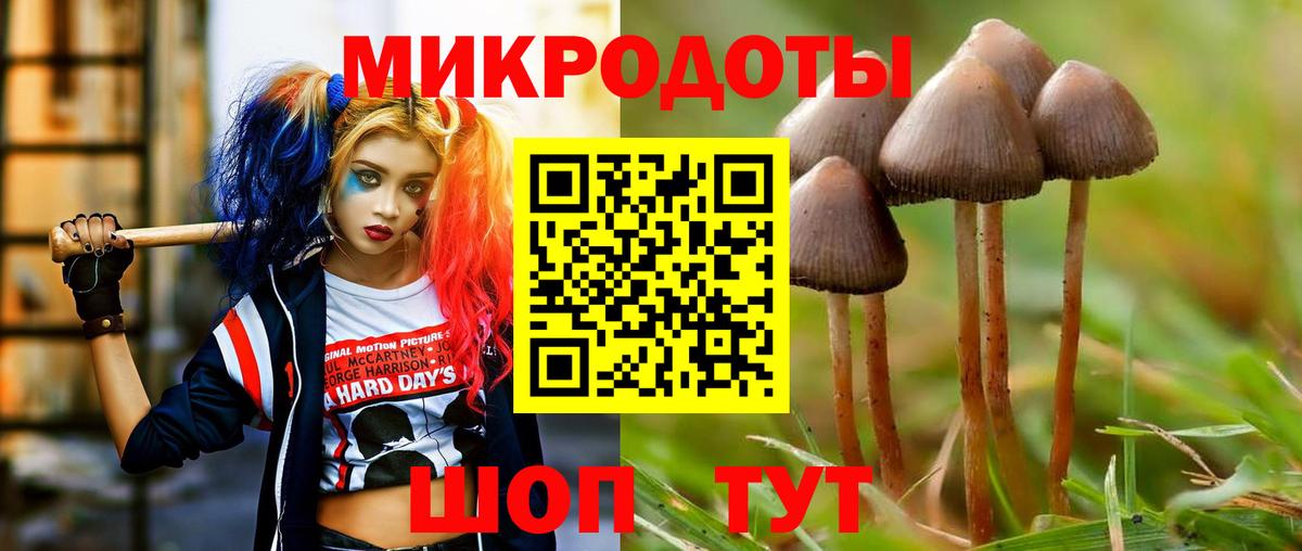 Псилоцибиновые грибы Psilocybe Алатырь