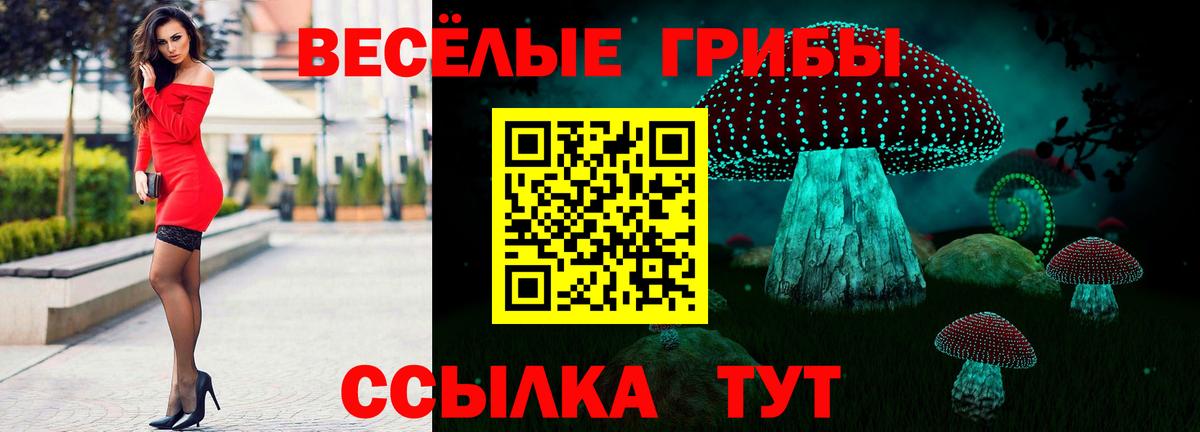 Алатырь  сколько стоит  Вход с VPN  Псилоцибиновые грибы Cubensis 